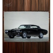 Металлическая табличка Pontiac GTO Convertible 558